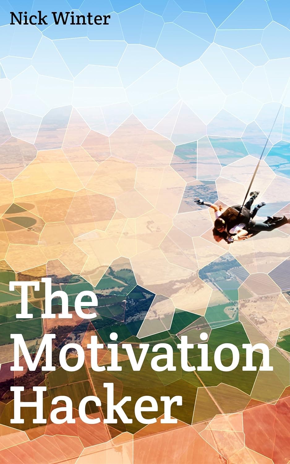 Cover Image for The Motivation Hacker by Nick Winter