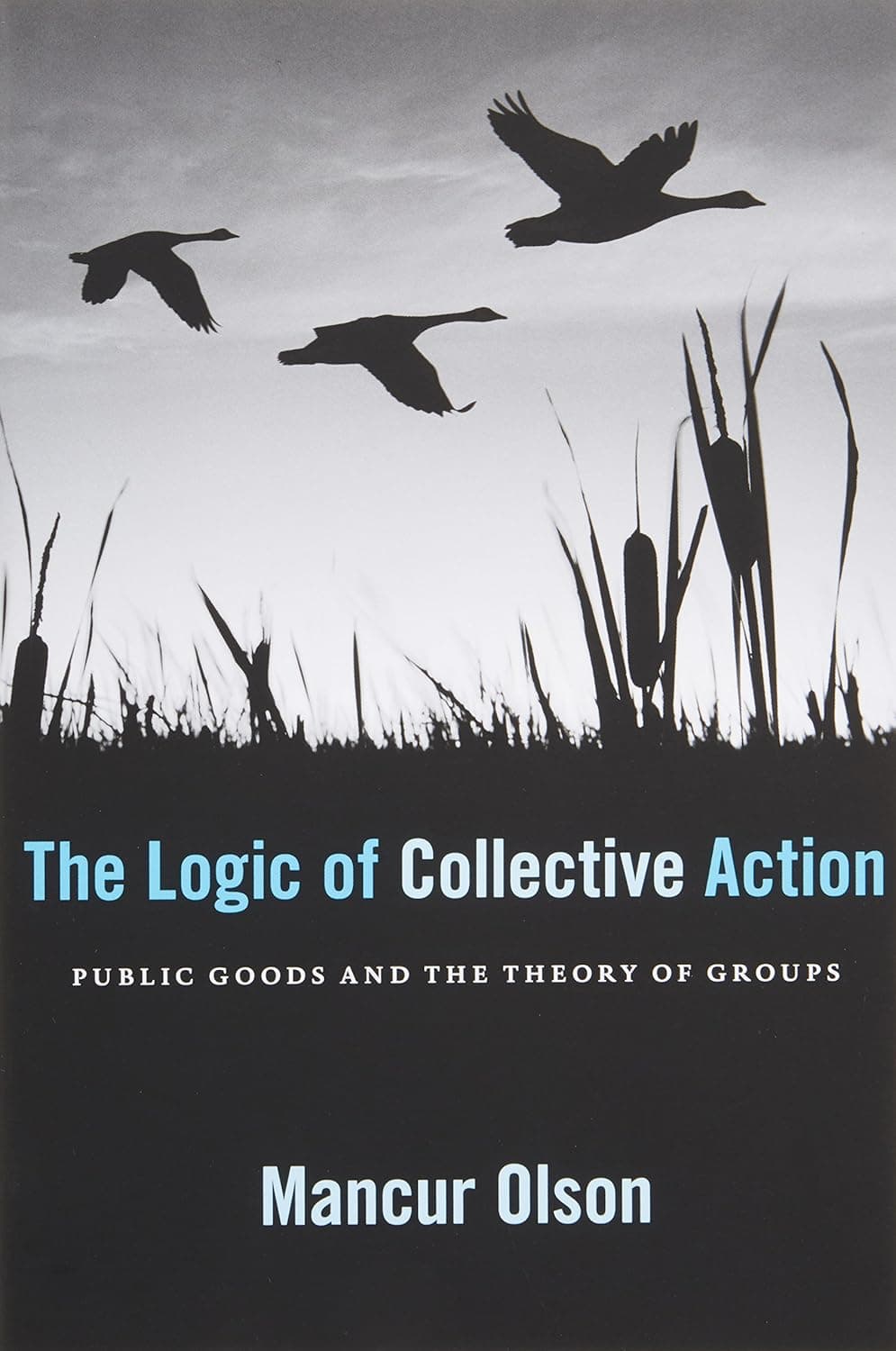 Cover Image for The Logic of Collective Action